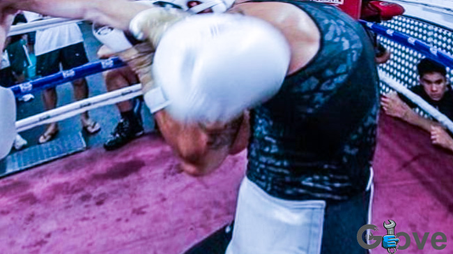 Boxers-Sparring.jpg