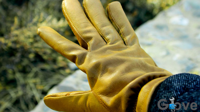 Leather-Gloves-winter.jpg